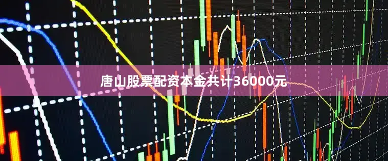 唐山股票配资本金共计36000元