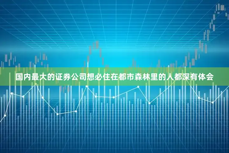 国内最大的证券公司想必住在都市森林里的人都深有体会