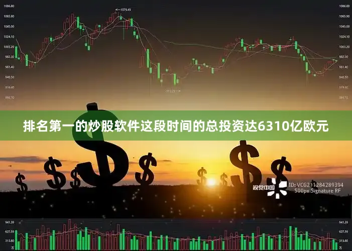 排名第一的炒股软件这段时间的总投资达6310亿欧元