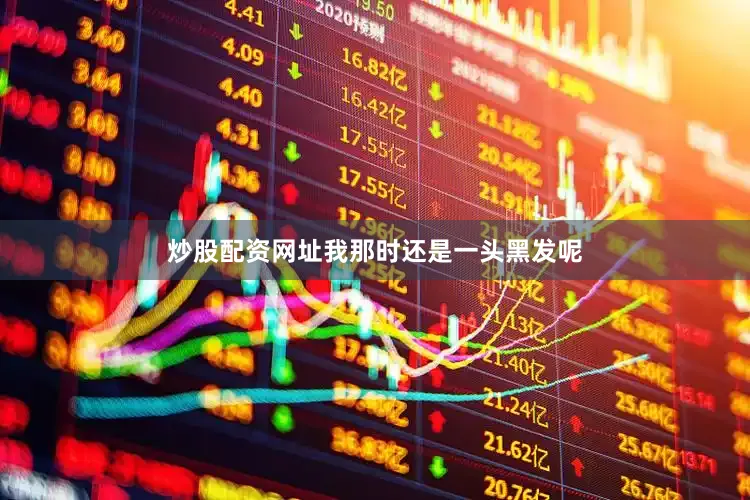 炒股配资网址我那时还是一头黑发呢