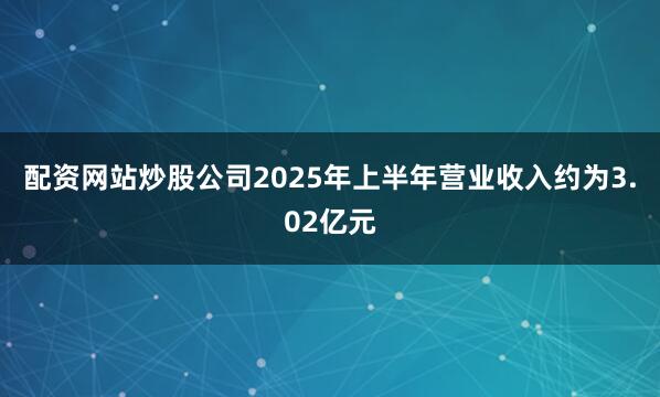 配资网站炒股公司2025年上半年营业收入约为3.02亿元